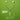 LXINDIA boat Bassheads 105 (Green, Spirit Lime)