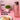 LXINDIA bottle Boldfit Water Bottles 1 Litre Sipper Pink