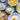 LX INDIA Electric Egg Boiler and Steamer Borosil Electric Plus Egg Boiler with Poaching Tray, Boil Upto 8 Eggs At A Time, For Hard, Soft, Medium Boiled Eggs, Steamed Vegetables,