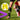 LXINDIA Guards Flickit Shin Guards for Football, Training and Light Weight Shin Pads IS