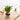 LX INDIA Self-watering plant pots Garden Art 3 layer Lucky Bamboo Live Plant With Self Watering Pot