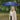 LX INDIA Umbrella Giordano UV Protection Unisex Umbrella for Men and Women Regular Size Navy Blue