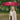 LX INDIA Umbrella Giordano UV Protection Unisex Umbrella for Men and Women Regular Size Red