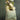 LX INDIA vases Habere India All The Cultures Fabricating India Flower Pot for Living Room S (Green)