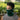 LX INDIA Face Mask HEELIUM Bamboo Bandana for Men and Women Pack of 2 Emerald Green