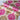 LXINDIA Wallpaper Indian Royals Pink Golden and Cream Color Hall Wallpaper