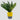 LX INDIA Self-watering plant pots InHydro Handy Yellow hydroponics Self-Watering Pots (yellow)