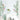 LX INDIA Wall Stickers JAAMSO ROYALS Green Leaves with Pink Flower Side Border PVC Vinyl Self Adhesive Peel and Stick Decorative Wall Sticker