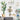 LX INDIA Wall Stickers JAAMSO ROYALS Potted Plants Style Wall Art Decoration PVC Vinyl Removable Wall Sticker (30 CM x 90 CM)