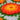 LX INDIA Rangoli JH Gallery Handmade Artificial Flowers Rangoli Set - Home Decor & Festive Decor, Diwali Decoration for Home