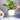LX INDIA Self-watering plant pots Nurturing Green® Self Watering Flower Pots for Home Decor (Set of 6, Mocha & Ivory)