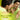 LX INDIA Trimmer Philips Oneblade Hybrid Trimmer&Shaver Zero Trim In One Stroke