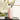 LX INDIA vases Pure Home Living Pink and White Floral Print Ceramic Vase Large