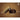 LX INDIA Beard Brush RUBAB MEN 100% Boar Bristle Beard Brush Oval Brown