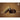 LX INDIA Beard Brush RUBAB MEN Boar Bristle Beard Brush