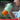 LX INDIA Juice Blender Wonderchef Nutri-cup Zip Portable Blender