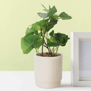 Anko Mini Artificial Plant &amp; White Ceramic Pot