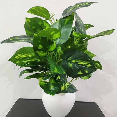 BAARIG Natural Looking Artificial Money Plant with Pot