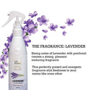 LXINDIA Air freshener AIR ROMA Lavendar Air Freshener Spray 200ml