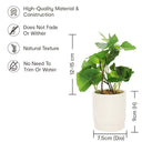 LXINDIA Plants Anko Mini Artificial Plant &amp; White Ceramic Pot