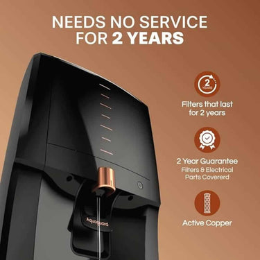 LXINDIA water purifier Aquaguard Aura 2X Life Needs No Service for 2 Years