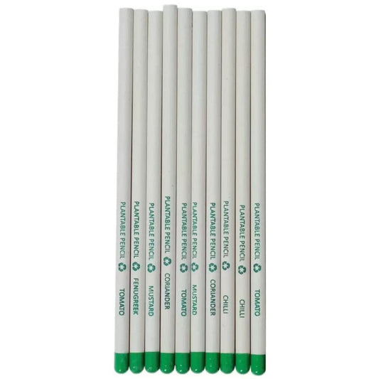 LXINDIA Pencil BAMBOO HAAT Recycled Paper Pencils For Kids