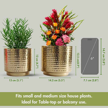 LXINDIA vases BEHOMA Metal Hammered Golden Mini Tabletop Planter for Home Decoration