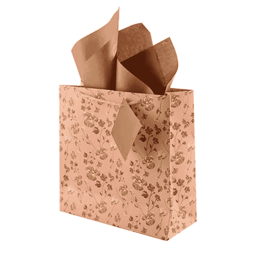 LXINDIA Bag Birch & Co. Paper Bags For Return Gifts Paper Gift Bag Peach