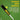 LXINDIA Cricket kit Boldfit Cricket bat Full Size Plastic bat Tennis Cricket bat Turf Tennis bat Lightweight Fiber bat