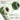 LXINDIA Earbuds Boult Audio Z40 Pro with 100H Playtime, Quad Mic ENC,13mm Bass Drivers, Bluetooth 5.3 Truly Wireless in Ear Earbuds (Jungle)
