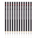 LXINDIA Pencil BRUSTRO Fine Art Graphite Pencil Set 10B  2H  Pack of 12