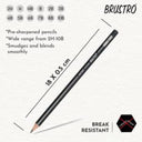 LXINDIA Pencil BRUSTRO Fine Art Graphite Pencil Set 10B  2H  Pack of 12