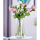 LXINDIA vases BS AMOR Clear Glass Vase 8.8 Inch