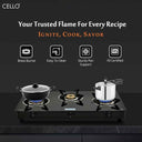 LXINDIA Induction Cooktop CELLO Regal Premium Brass Gas Cooktop (3-Burner Automatic)