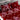 LX INDIA Bedsheet CG HOMES Bedsheet for Double Bed With 2 Pillow Cover (Red Floral)