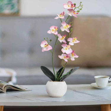 LXINDIA Plants Decor And More Artificial Orchid Flowers with White Ceramic Pot Pastel Pink