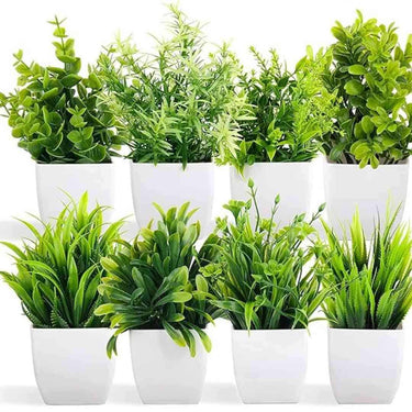 LXINDIA Plants Dekorly Artificial Potted Plants (Set of 8)