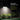 LX INDIA Fancy Lights Dylect® Eco Motion Sensor Solar Wall Light for Entrance, Garden, Gate, Parking, Terrace, Front & Side Illumination, 3 in 1 Modes, IP64 Waterproof, Upto 10 Hr Runtime (Ultra Bright LED Cool White)