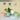 LX INDIA Self-watering plant pots Evafly Self Watering Plant Pot (Pack of 4, Multicolor)