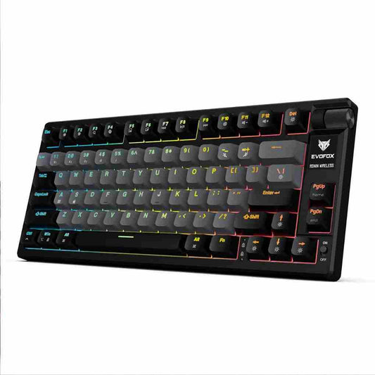 LX INDIA Keyboards black EvoFox Ronin Wireless Mechanical Keyboard (BT+2.4GHz+Wired)