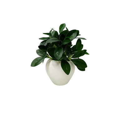 fancymart Artificial Rubber Plant in 4 inch White Apple Pot