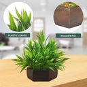 LXINDIA Plants fancymart Artificial Bamboo Leaves Plant in Wood Hexagon Pot