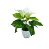 LXINDIA Plants fancymart Artificial Calla Lily Flower with Plastic Pot