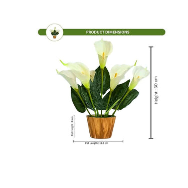 LXINDIA Plants fancymart Artificial Flower Calla Lilly with Wood Pot