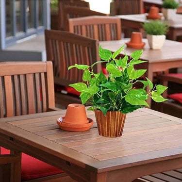 LXINDIA Plants fancymart Artificial Money Plant Leaves in Wood Pot Pefect Decoration for Home