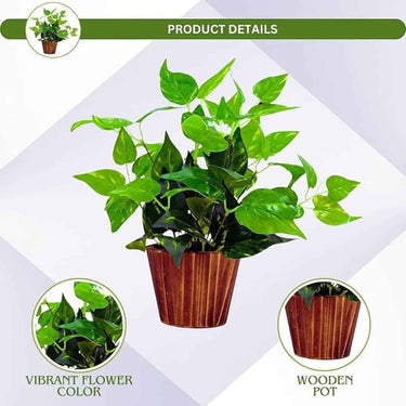 LXINDIA Plants fancymart Artificial Money Plant Leaves in Wood Pot Pefect Decoration for Home