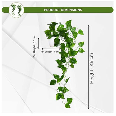 LXINDIA Plants fancymart Plastic Pack Of 2 Artificial Vine Plants Falling With Small Size Pot