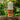 LX INDIA Mosquito Repellent Fabric-Roll on FOREST FORMULA MOSQUITO PROTECTOR Roll-On