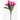 LXINDIA Plants Fourwalls Beautiful Artificial Polyester and Plastic Tulip Flower(Pink)