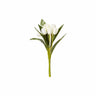 LXINDIA Plants Fourwalls Beautiful Artificial Polyester and Plastic Tulip Flower(White)